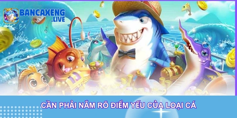 Cần phải nắm rõ điểm yếu của loại cá Cần phải nắm rõ điểm yếu của loại cá
