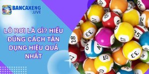 Lô Rơi Là Gì? Hiểu Đúng Cách Tận Dụng Hiệu Quả Nhất